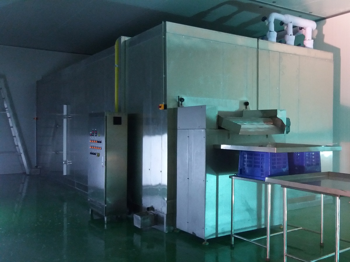 弗斯特制冷科技FSLD系列振动气流式速冻机/流态化单体速冻机 冻结各种蔬菜水果