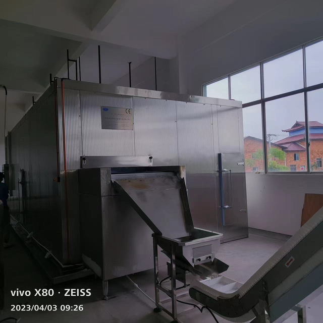 弗斯特制冷科技FSLD系列 IQF毛豆速冻机，冻结效果好，产量足